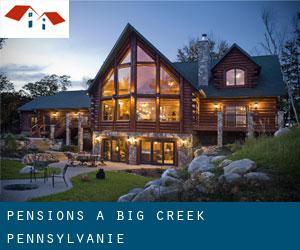 Pensions à Big Creek (Pennsylvanie)